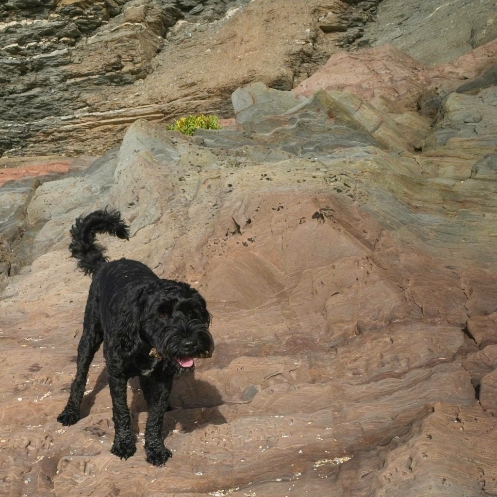 photo of a beach scene