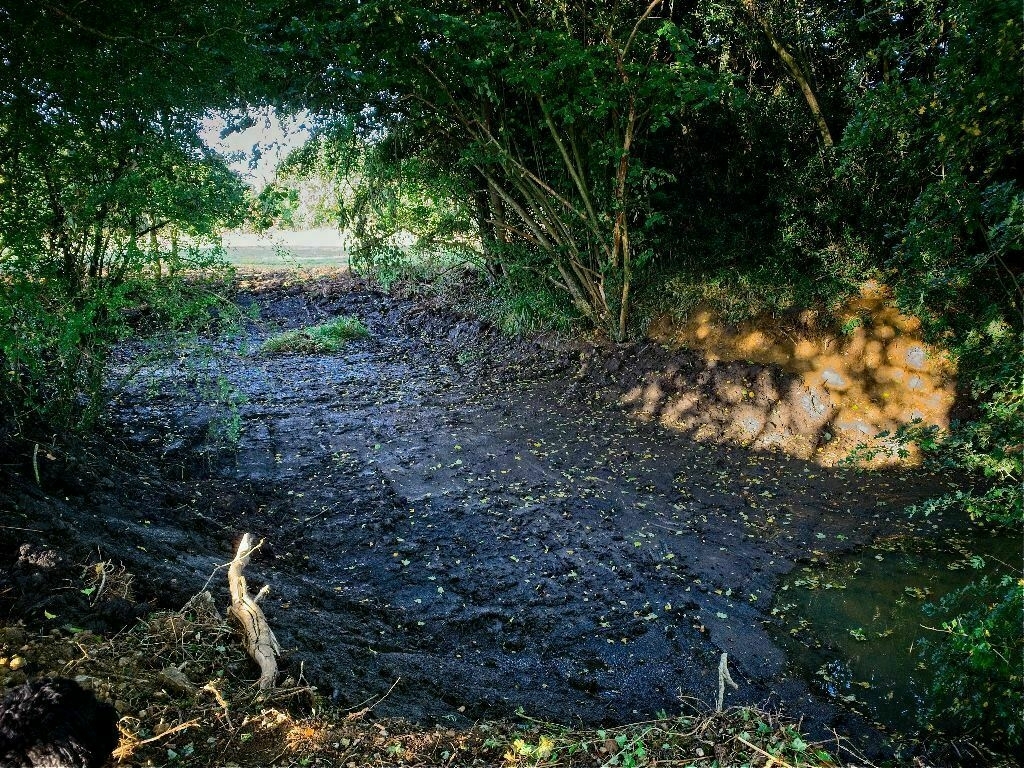 photo of a dug out pond