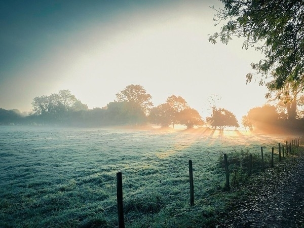 a photo of the sun breaking through a dreamy landscape